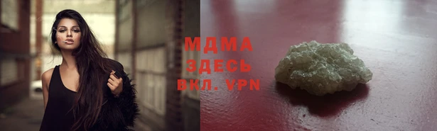 индика Тавда