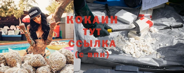 марихуана Сясьстрой